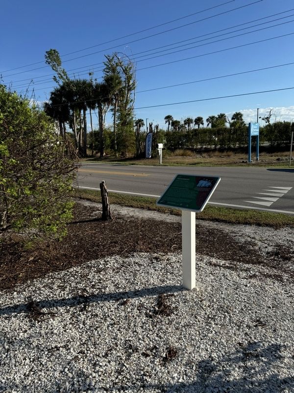 Environment Marker image. Click for full size.