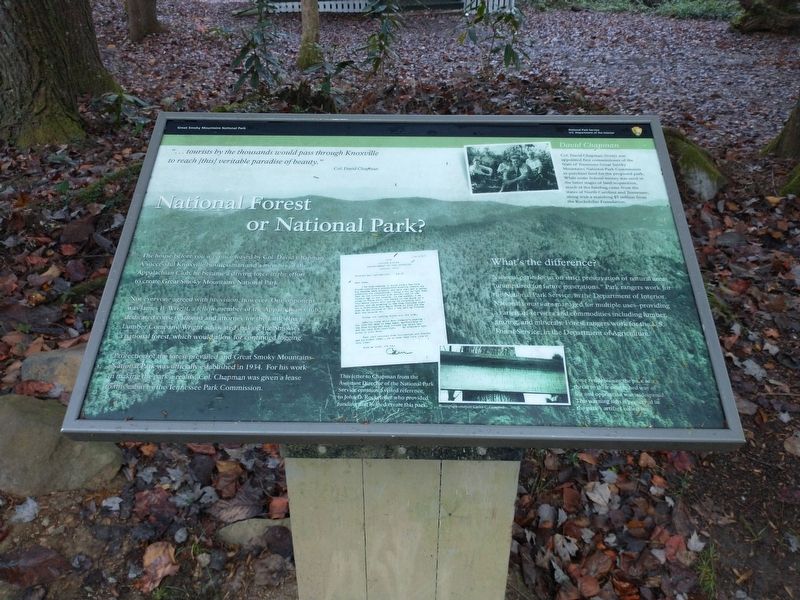 National Forest or National Park? Marker. Click for full size. National Forest or National Park? Marker image. Click for full size.