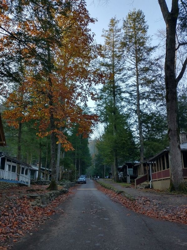 Daisy Town image. Click for full size.