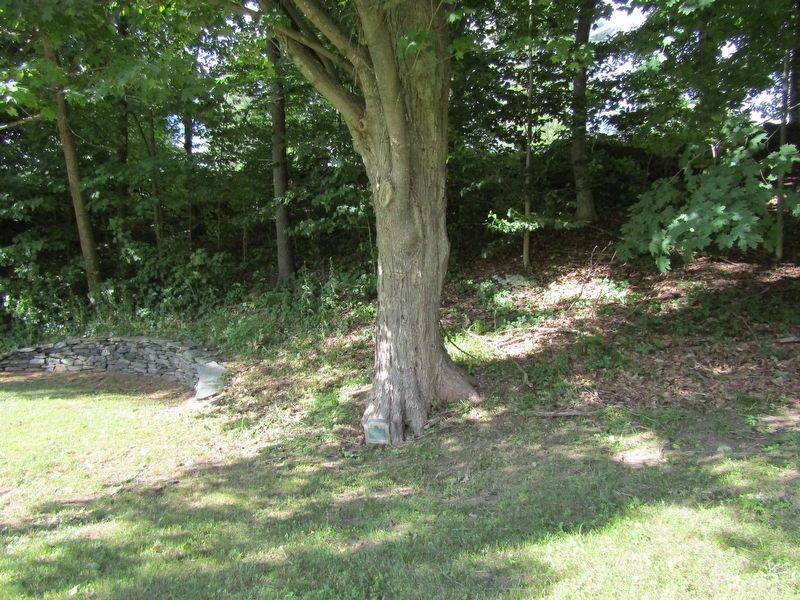 "Our Fathers" Memorial Tree Marker image. Click for full size.