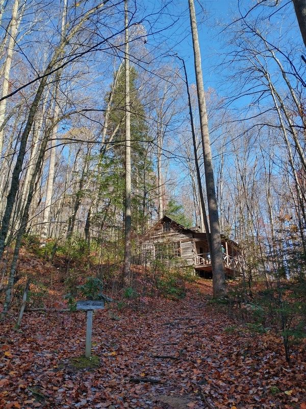 Cabin #50: Ownby / Avent Cabin image. Click for full size.