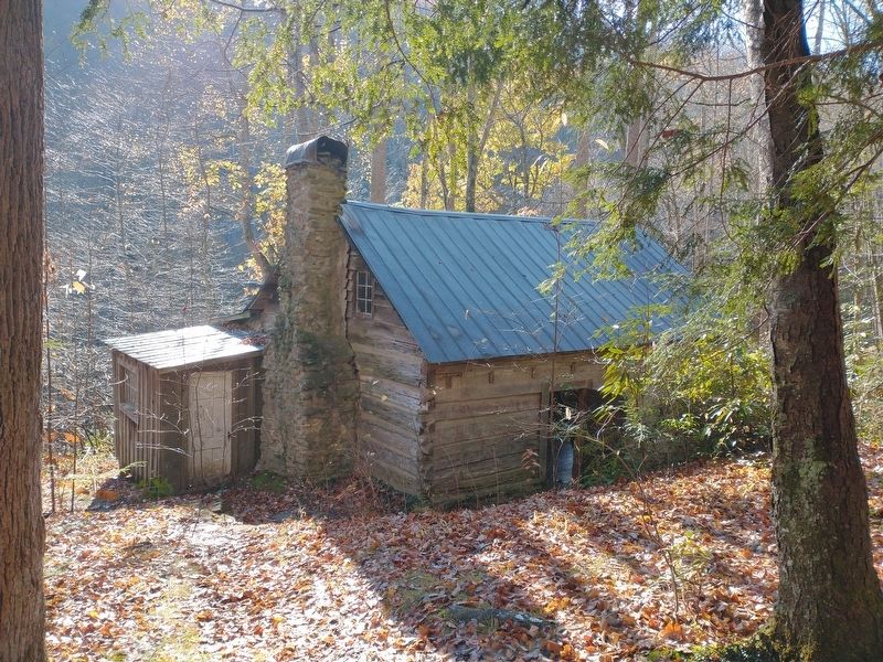 Cabin #50: Ownby / Avent Cabin image. Click for full size.