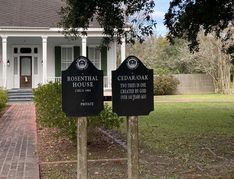 Rosenthal House - Cedar/Oak Marker. Click for full size. Rosenthal House - Cedar/Oak Marker image. Click for full size.