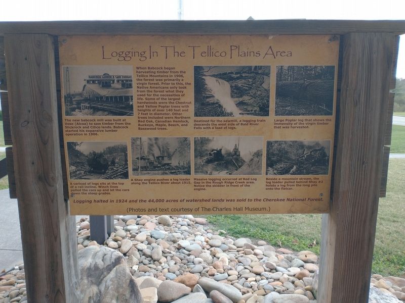 Logging in the Tellico Plains Area Marker. Click for full size. Logging in the Tellico Plains Area Marker image. Click for full size.