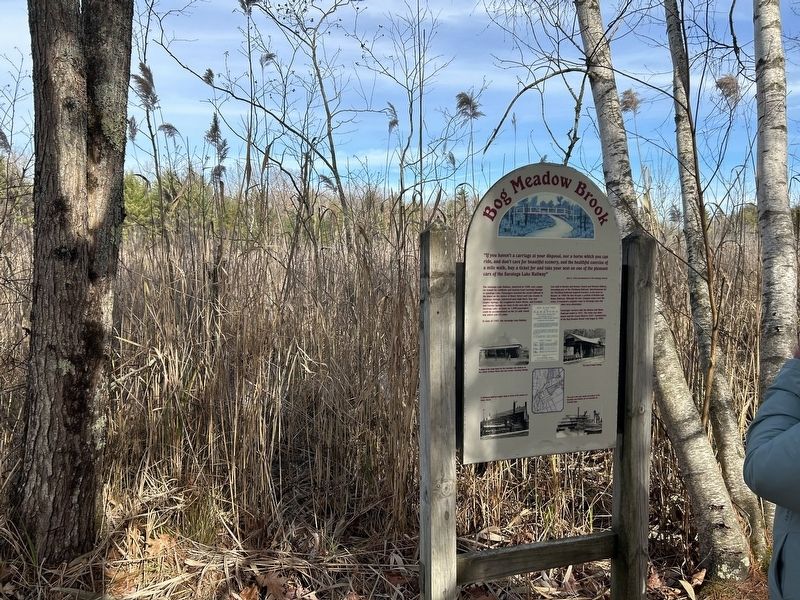 Bog Meadow Brook Marker image. Click for full size.