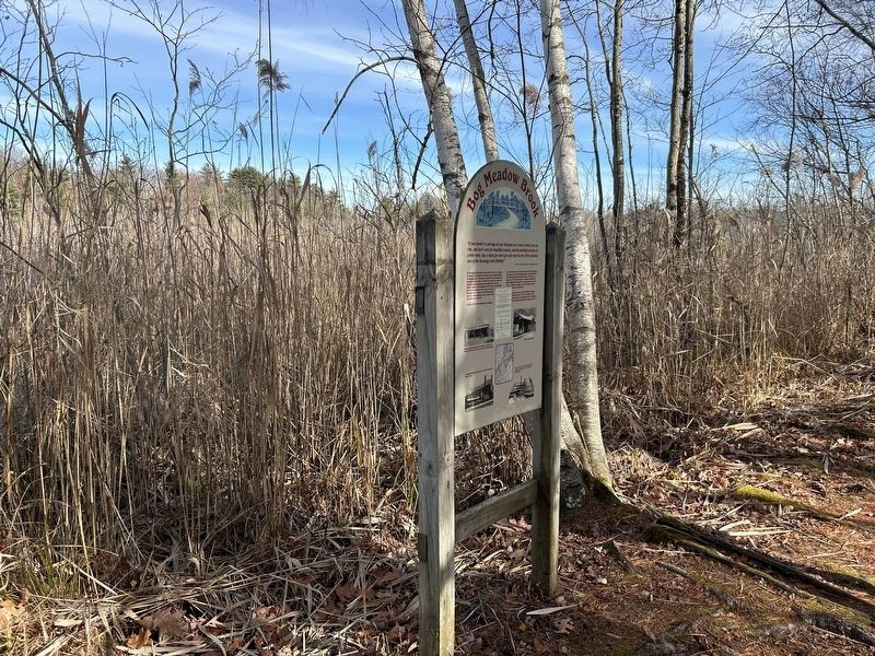 Bog Meadow Brook Marker image. Click for full size.