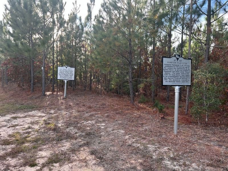 Hampton Plantation Marker (relocated) image. Click for full size.