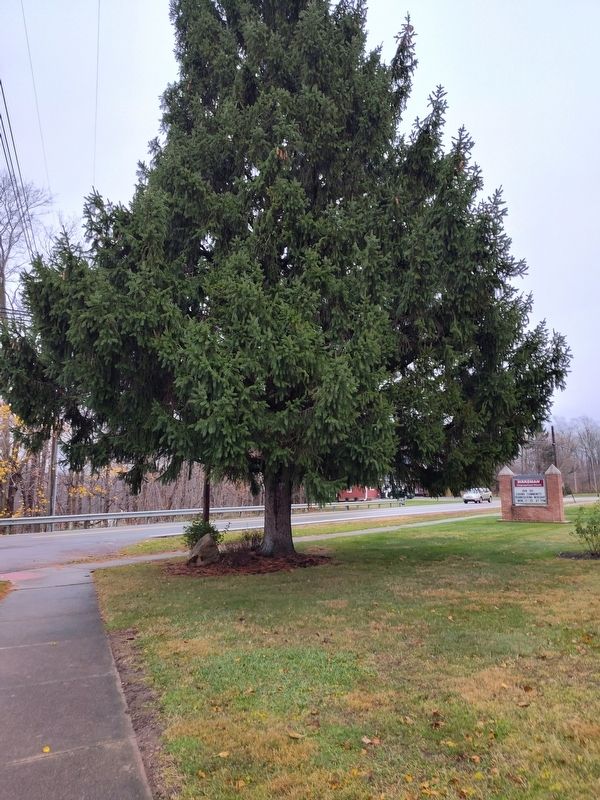 The former Wakeman School site. Click for full size. The former Wakeman School site image. Click for full size.