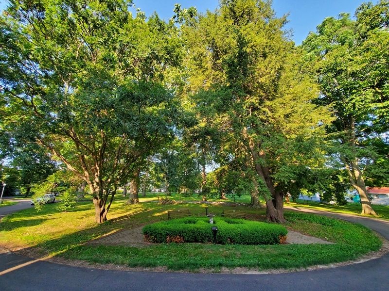 Boxwood Knot Garden. Click for full size. Boxwood Knot Garden image. Click for full size.