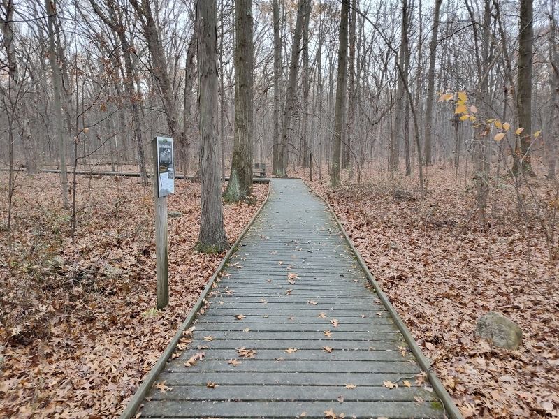 The Ghost Railroad. Marker image. Click for full size.
