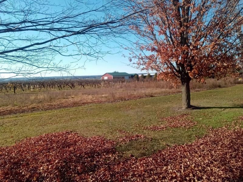 The Peach Orchard image. Click for full size.