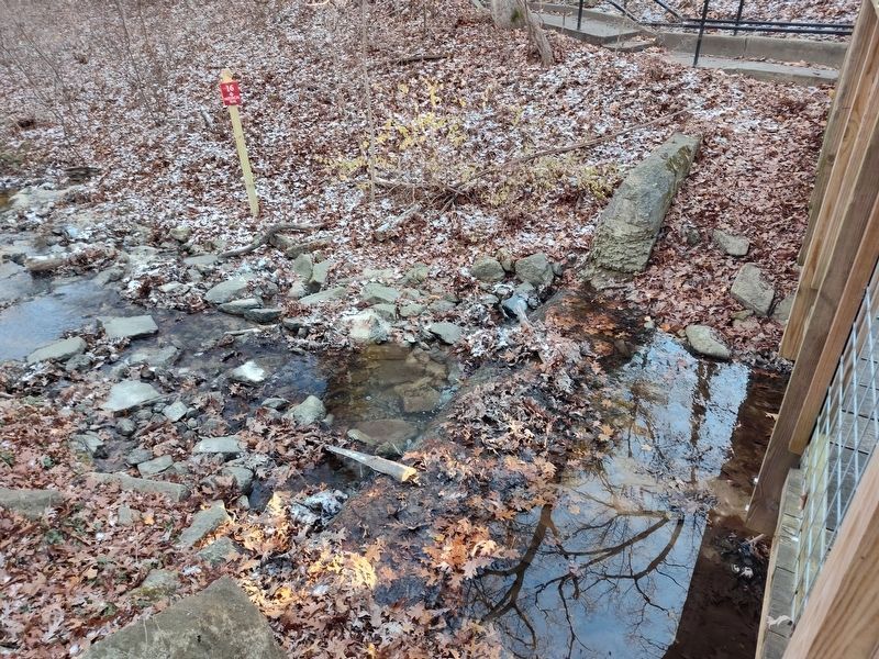 Worlds Largest Swimming Pool back wall remnants image. Click for full size.