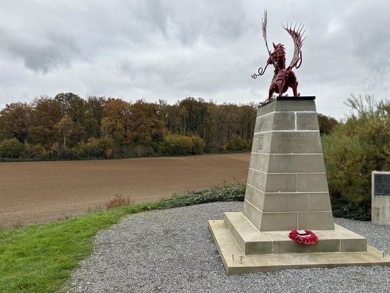 Looking Towards Mametz Woods image. Click for full size.