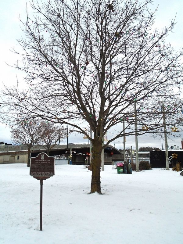 Civic Memorial Tree and Marker image. Click for full size.