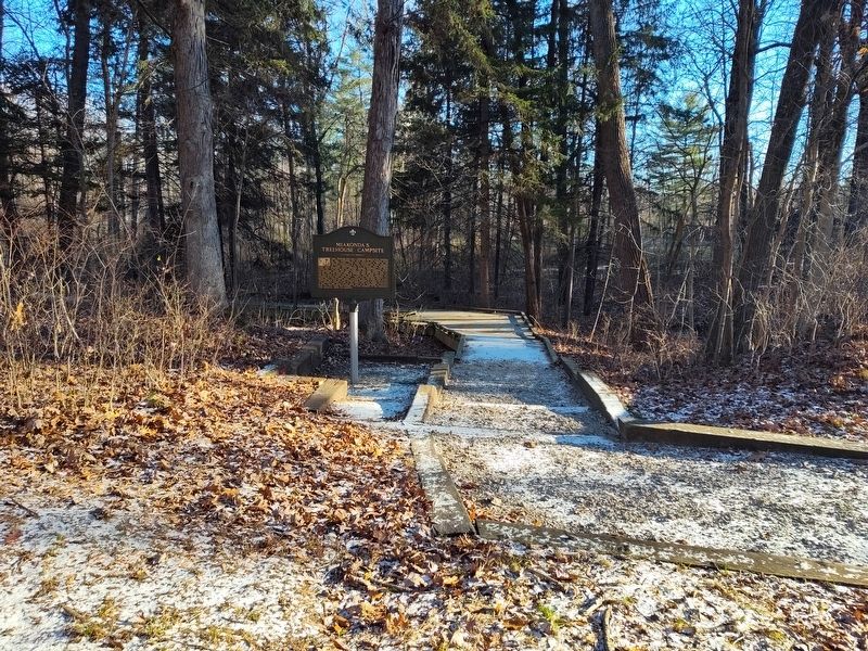 Miakonda's Treehouse Campsite / Lou Klewer, Toledo Scouting Legend Marker image. Click for full size.
