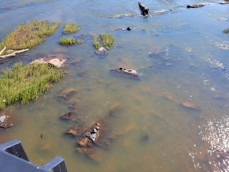 Visible rock outcroppings in the Dan River support a variety of animal life, such as these turtles image. Click for full size.