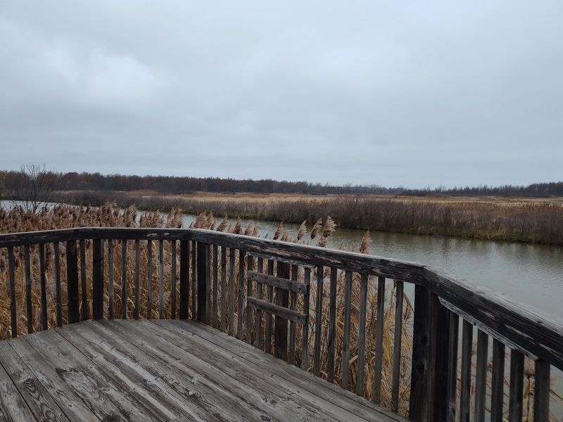 Donald Thompson Wetland image. Click for full size.