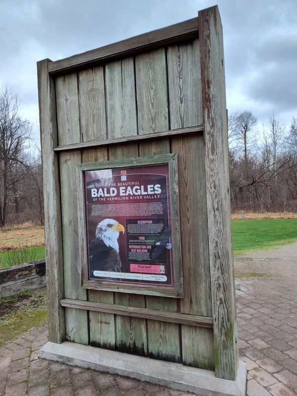The Beautiful Bald Eagles of the Vermilion River Valley Marker image. Click for full size.