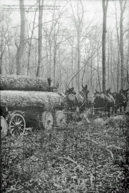 Marker detail: Hauling logs. ca. 1917 image. Click for full size.