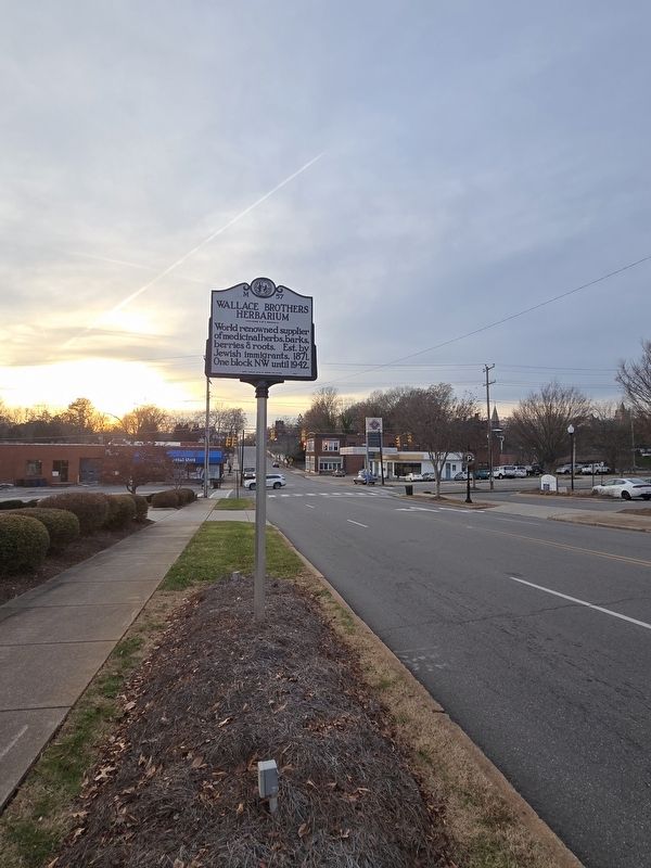 Wallace Brothers Herbarium Marker looking West on W. Front St. image. Click for full size.