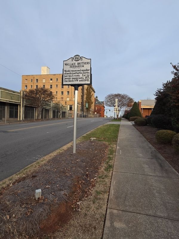 Wallace Brothers Herbarium Marker looking east on W. Front St. image. Click for full size.
