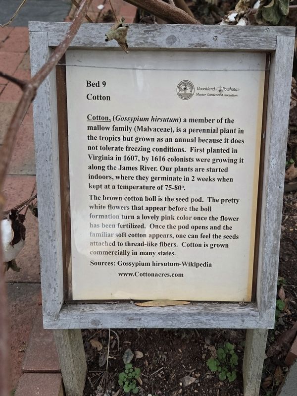 Cotton Marker. Click for full size. Cotton Marker image. Click for full size.
