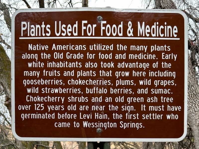 Plants Used For Food & Medicine Marker image. Click for full size.