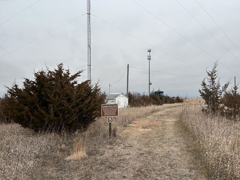 Grassland Versus Forest Marker image. Click for full size.
