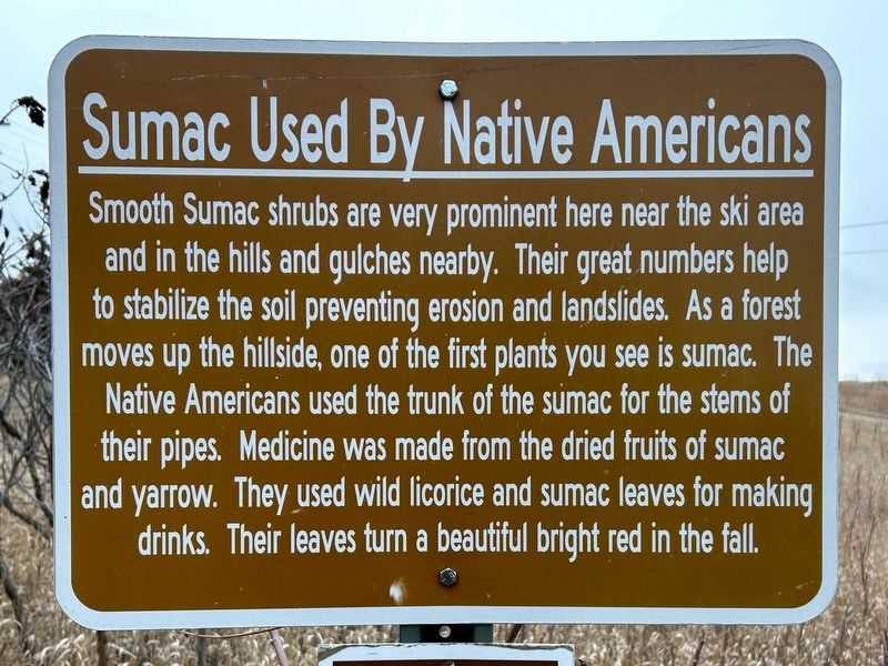 Sumac Used By Native Americans Marker image. Click for full size.