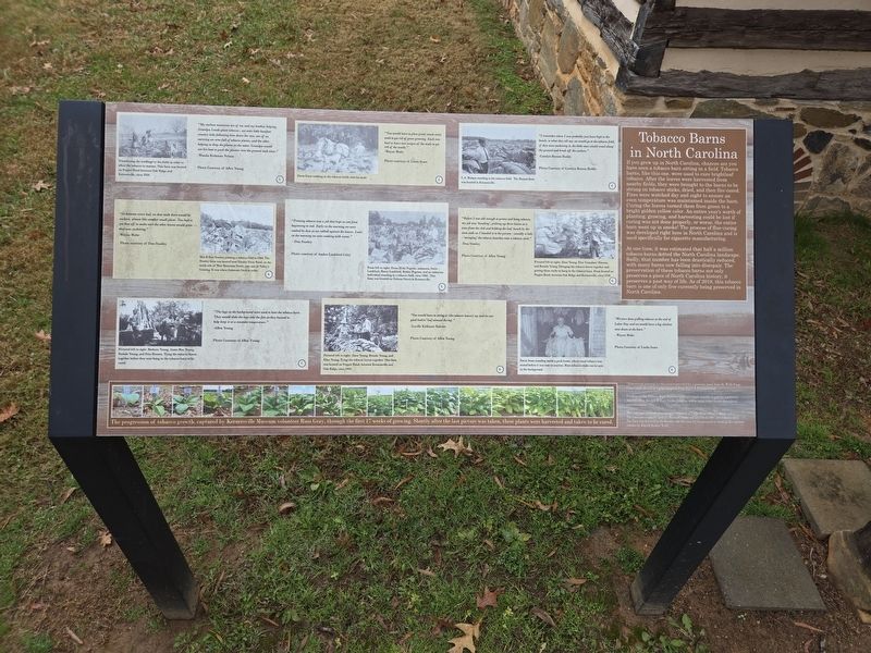Tobacco Barns in North Carolina Marker. Click for full size. Tobacco Barns in North Carolina Marker image. Click for full size.
