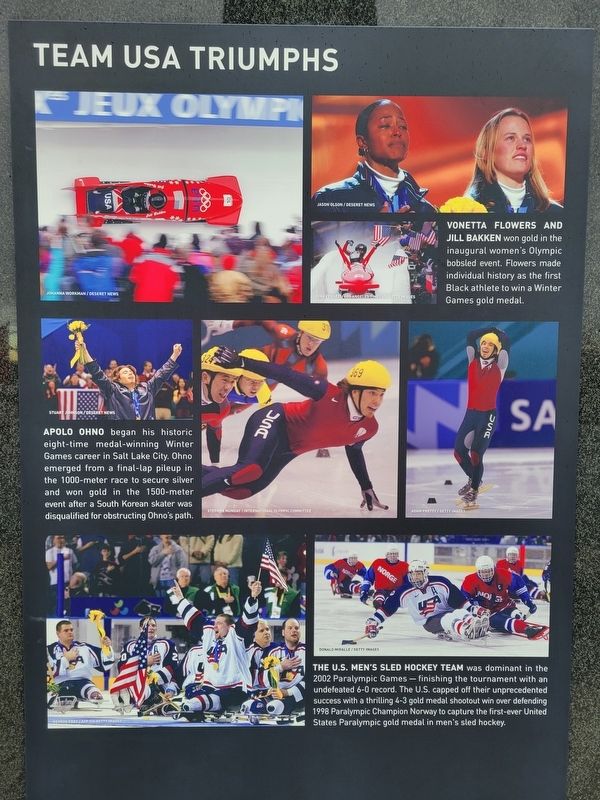 Team USA Triumphs Marker image. Click for full size.