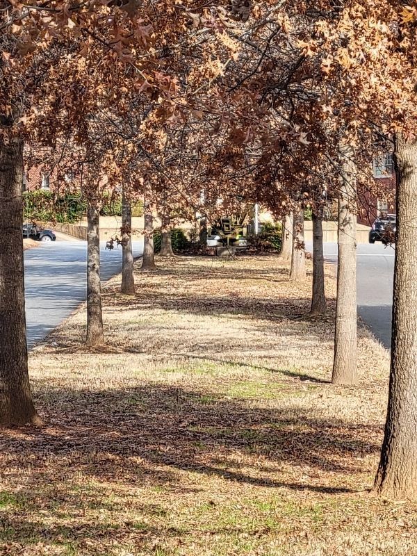 World War I Memorial Trees. Click for full size. World War I Memorial Trees image. Click for full size.
