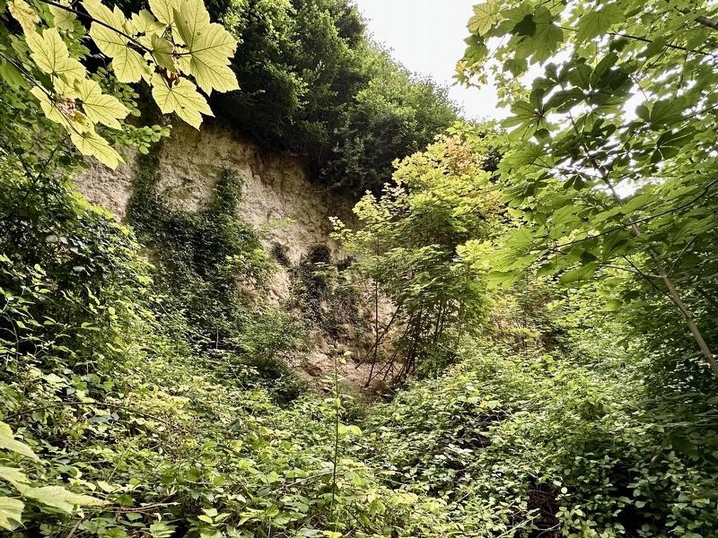 Quarry viewing area image. Click for full size.