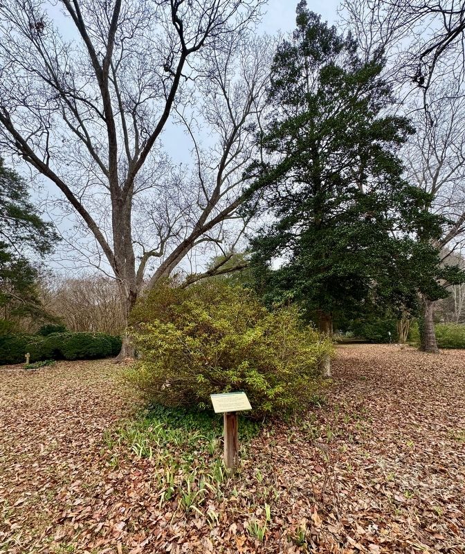 Enslaved Laborers Memorial image. Click for full size.
