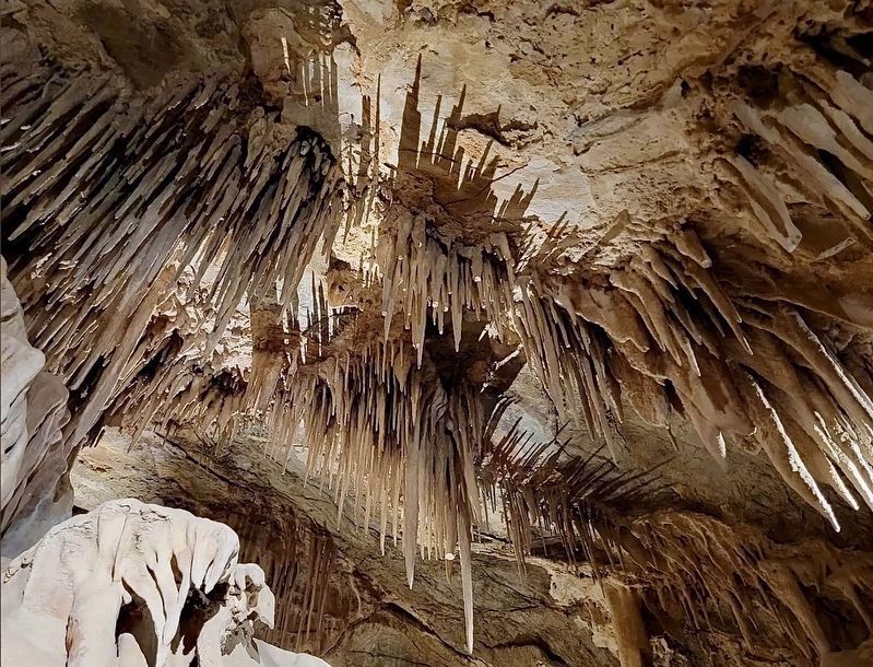Mitchell Caverns. Click for full size. Mitchell Caverns image. Click for full size.