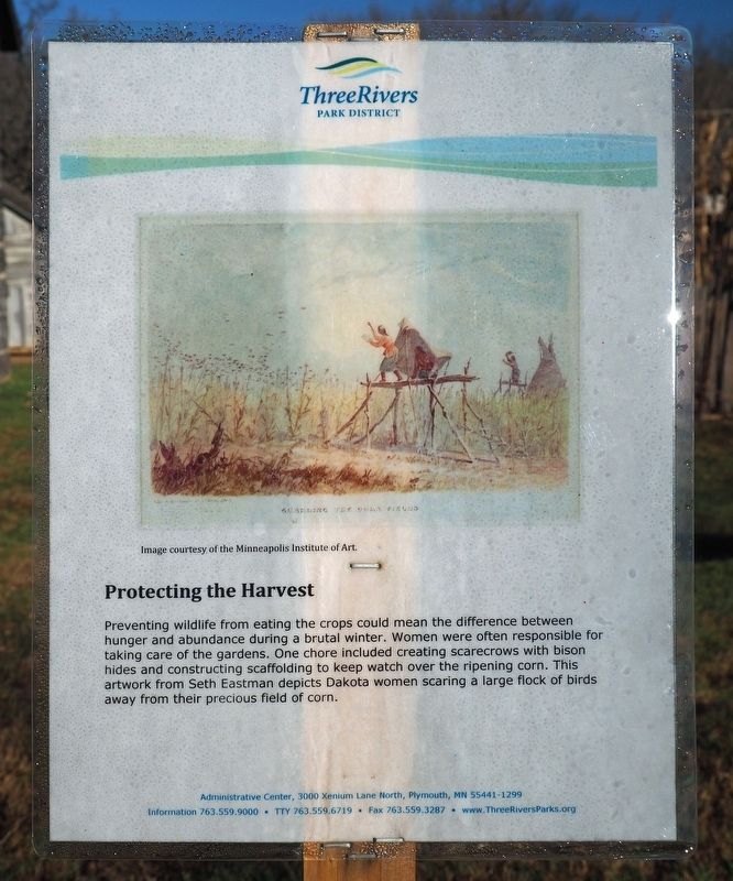 Protecting the Harvest Marker. Click for full size. Protecting the Harvest Marker image. Click for full size.