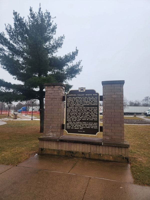 Chippewa Valley White Pine Marker image. Click for full size.