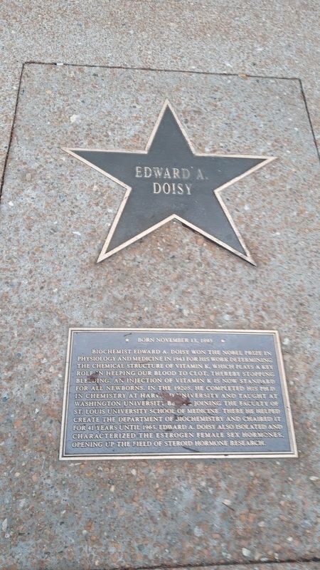 Edward A. Doisy Marker. Click for full size. Edward A. Doisy Marker image. Click for full size.