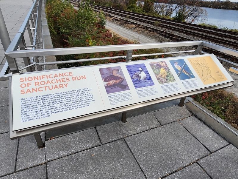 Significance of Roaches Run Sanctuary Marker. Click for full size. Significance of Roaches Run Sanctuary Marker image. Click for full size.