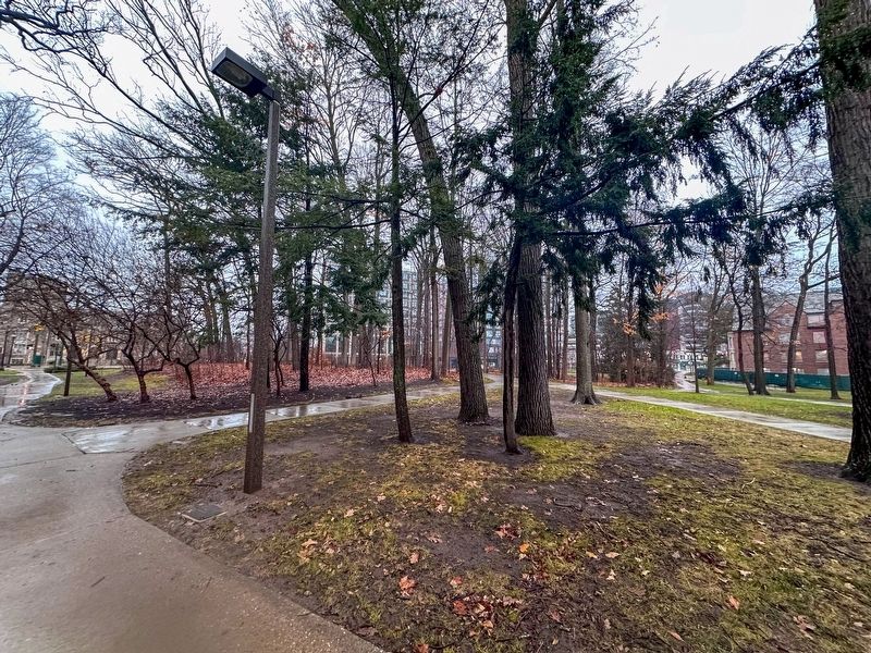 The Beal Arboretum image. Click for full size.