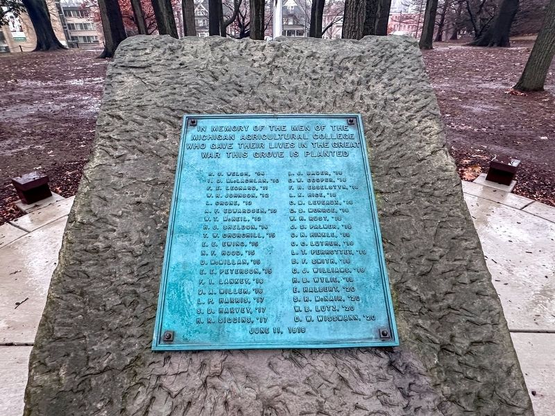 Michigan Agricultural College World War I Memorial Marker image. Click for full size.