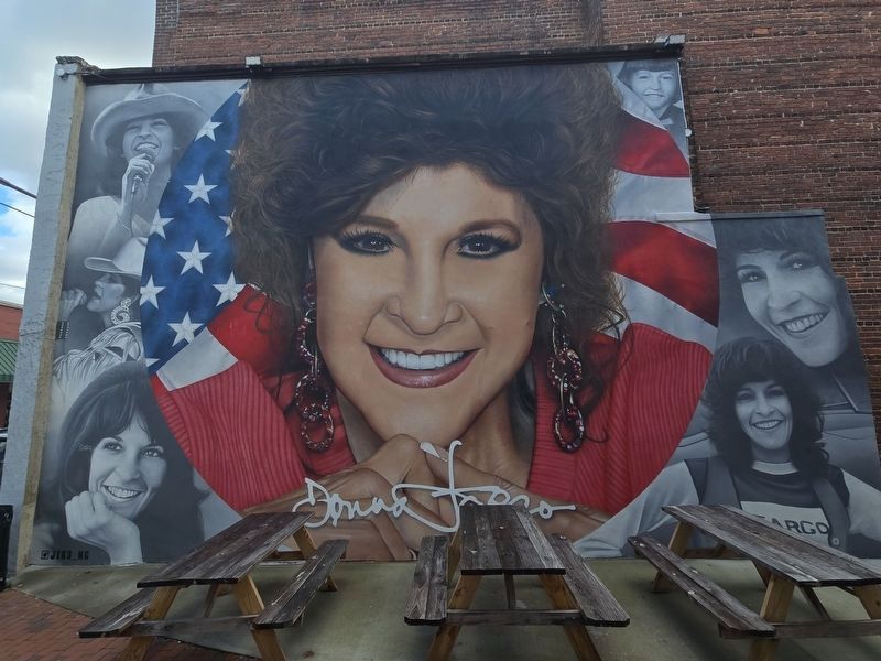 Donna Fargo Mural located in a pocket park on N. Main St. south of Franklin St. image. Click for full size.