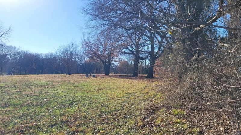 A section of the Grayson County Poor Farm and old cemetery image. Click for full size.