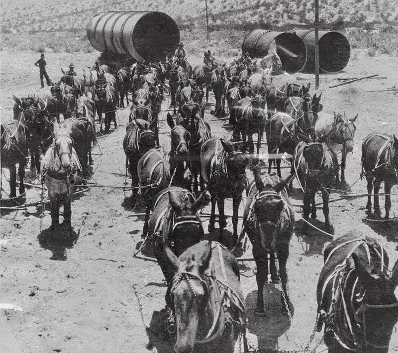Mule Team � 1912 image. Click for full size.