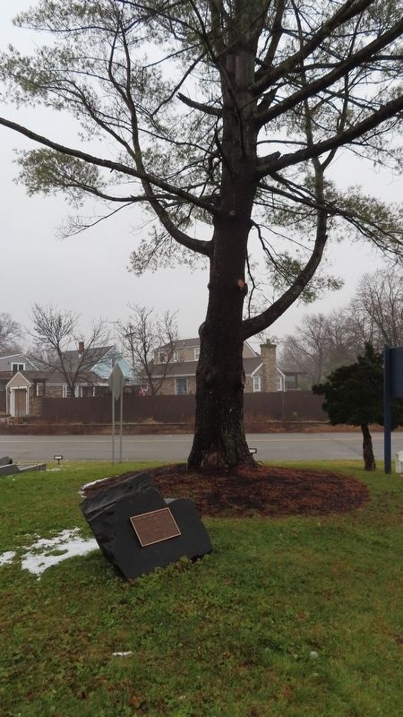 Memorial Tree Marker image. Click for full size.
