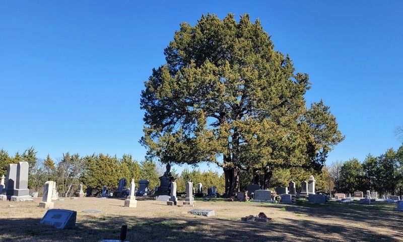 Altoga Cemetery image. Click for full size.