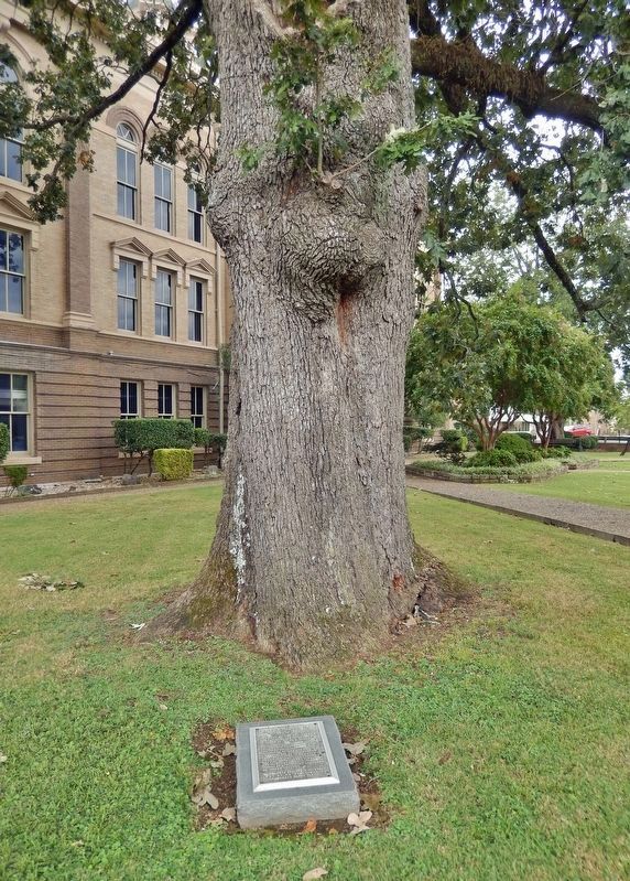 The Ed. B. Mooney Tree Marker. Click for full size. The Ed. B. Mooney Tree Marker image. Click for full size.