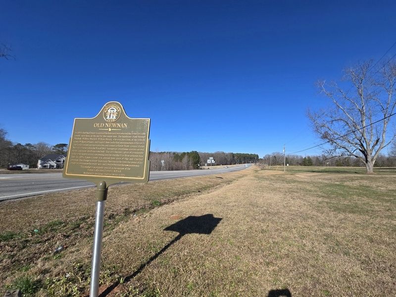 Old Newnan Marker looking north on Hwy 19 image. Click for full size.
