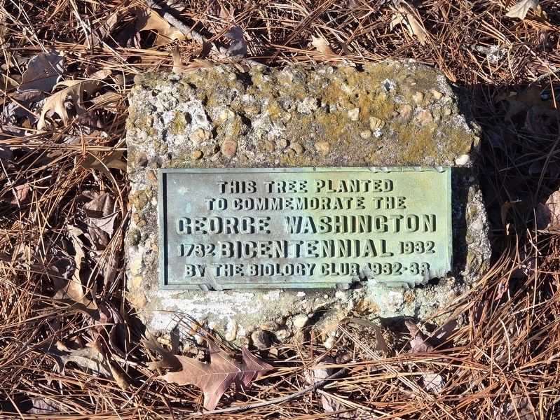 George Washington Bicentennial Tree Marker. Click for full size. George Washington Bicentennial Tree Marker image. Click for full size.