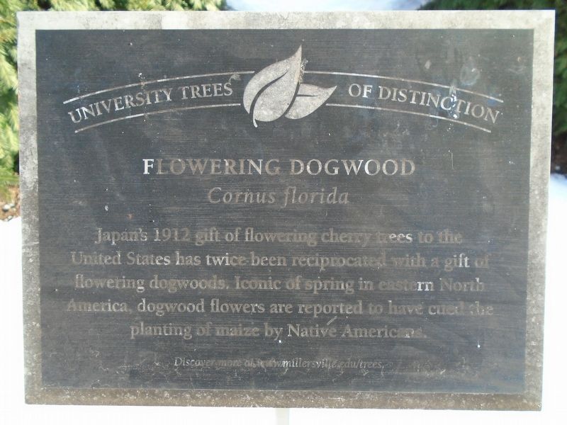 Flowering Dogwood Marker image. Click for full size.